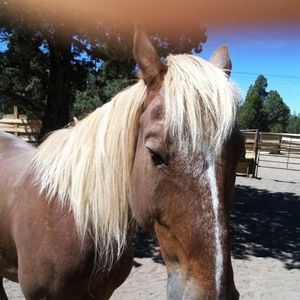 Meet your Posher, Linda